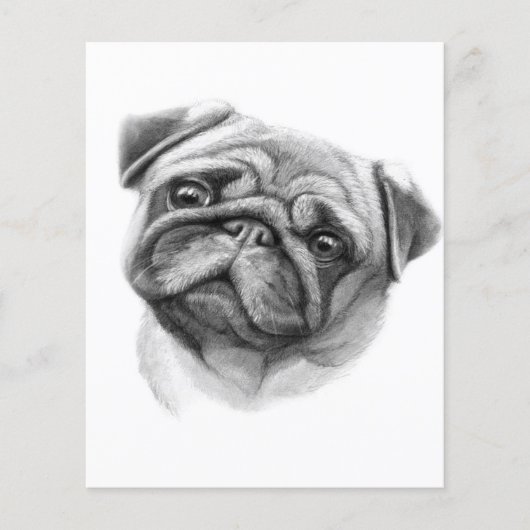 Het Pug-portret | Mopshond Gezicht Flyer (Voorkant)