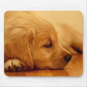 Het Puppy Antoine Melancholy I van het golden Muismat