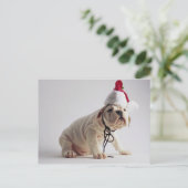 Het Puppy die van de buldog het Pet van de Feestdagenkaart (Staand voorkant)