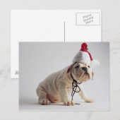 Het Puppy die van de buldog het Pet van de Feestdagenkaart (Voorkant / Achterkant)