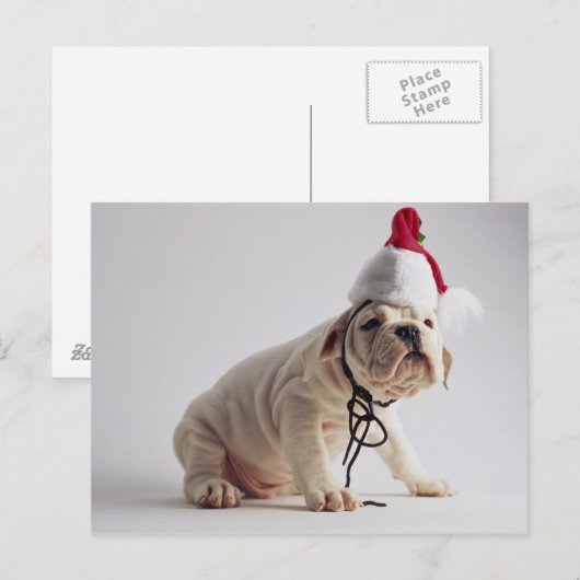 Het Puppy die van de buldog het Pet van de Feestdagenkaart (Voorkant / Achterkant)