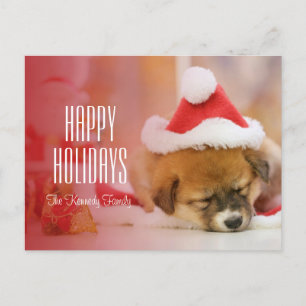 Het puppy die van de slaap een pet van de Kerstman Feestdagenkaart