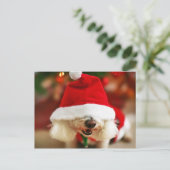 Het puppy die van Frise van Bichon het kostuum van Feestdagenkaart (Staand voorkant)