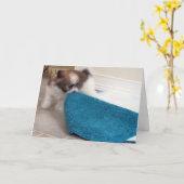 Het Puppy die van Havanese zijn deken bewegen Kaart (Gele Bloem)