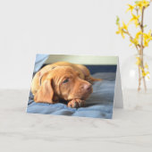 Het Puppy die van Vizsla op Zijn Poot rusten Kaart (Gele Bloem)