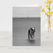 Het Puppy DRU van Boston Terrier Kaart (Gele Bloem)