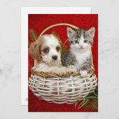 Het puppy en het katje van Kerstmis in mand samen Feestdagenkaart (Voorkant / Achterkant)