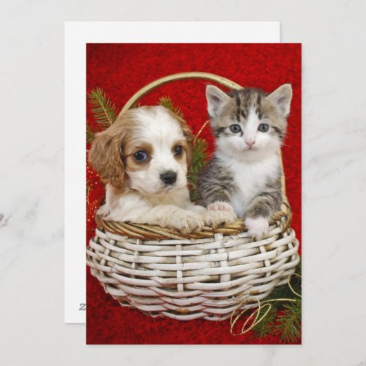 Het puppy en het katje van Kerstmis in mand samen Feestdagenkaart (Voorkant / Achterkant)