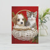 Het puppy en het katje van Kerstmis in mand samen Feestdagenkaart (Staand voorkant)