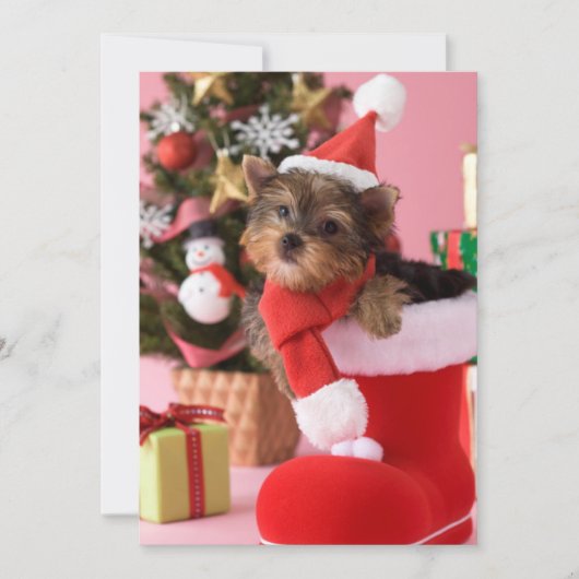 Het Puppy en Kerstmis van Yorkshire Terrier Feestdagenkaart (Voorkant)