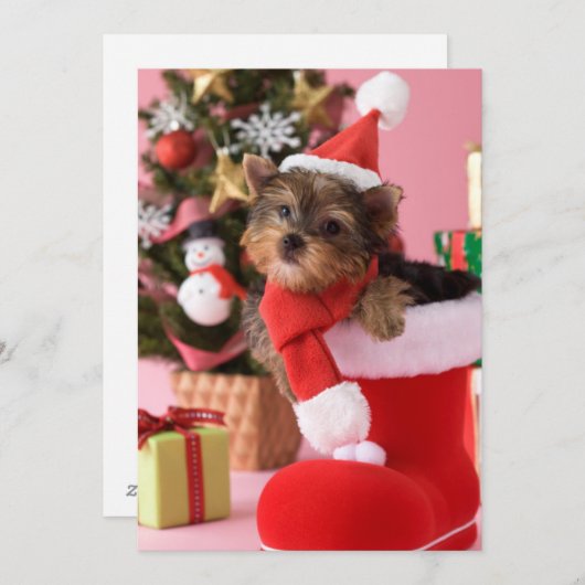 Het Puppy en Kerstmis van Yorkshire Terrier Feestdagenkaart (Voorkant / Achterkant)
