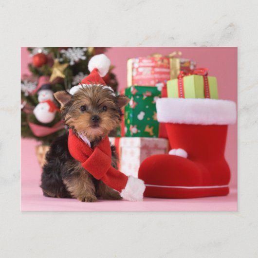 Het Puppy en Kerstmis van Yorkshire Terrier Feestdagenkaart (Voorkant)