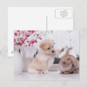 Het puppy en snoeit het Konijn van het Oor Briefkaart (Voorkant / Achterkant)