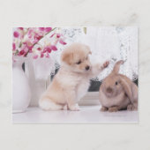 Het puppy en snoeit het Konijn van het Oor Briefkaart (Voorkant)
