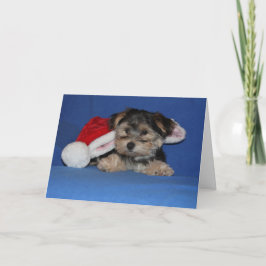 Het puppy hoopt magische de Kerstman aan uw huis Feestdagen Kaart