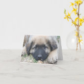 Het puppy Lege Notecard van Leonberger Kaart (Gele Bloem)