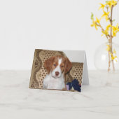 Het Puppy Notecard van Bretagne Kaart (Gele Bloem)