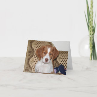 Het Puppy Notecard van Bretagne Kaart