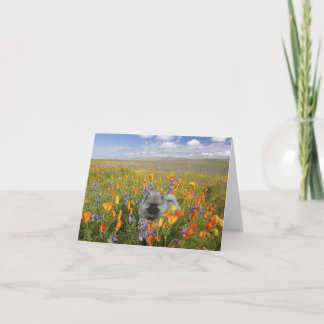 Het Puppy Notecard van de lente Kaart