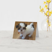 Het Puppy Notecards van Tzu van Shih Kaart (Gele Bloem)