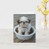 Het Puppy Notecards van Tzu van Shih Kaart (Gele Bloem)