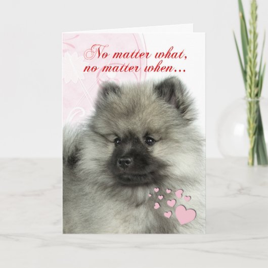 Het Puppy Valentijn van Keeshond Feestdagen Kaart (Voorkant)