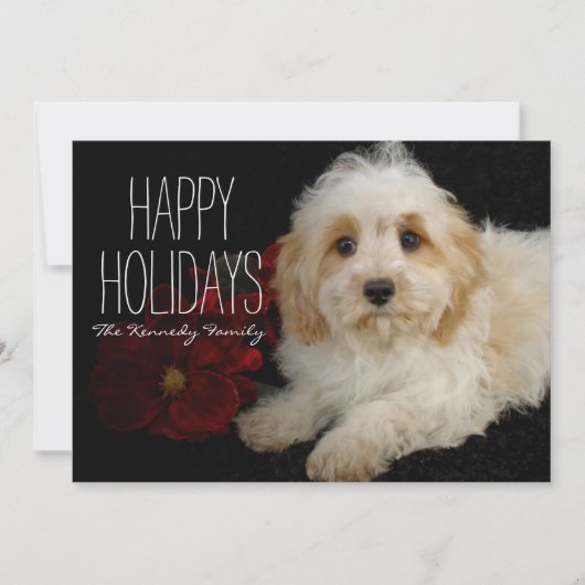 Het puppy van Cavachon van Chrirstmas Feestdagenkaart (Voorkant)