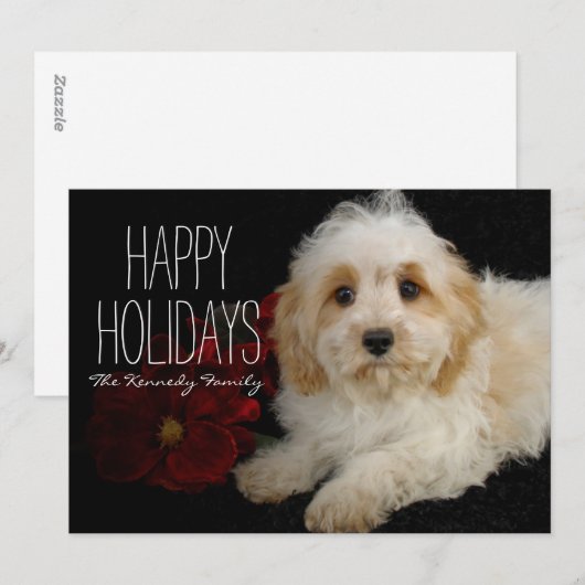 Het puppy van Cavachon van Chrirstmas Feestdagenkaart (Voorkant / Achterkant)