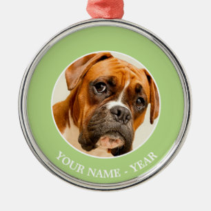 Het puppy van de bokser op de achtergrond van de metalen ornament