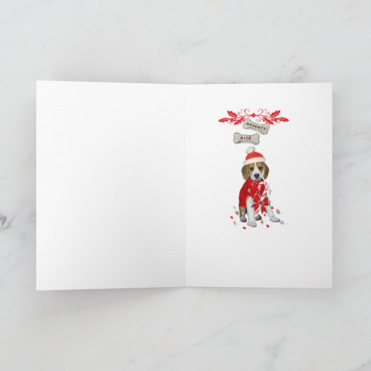 Het Puppy van de brak op de Kaarten van de (Binnen)