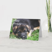 Het Puppy van de Duitse herder - de kaart van de (Achterkant)