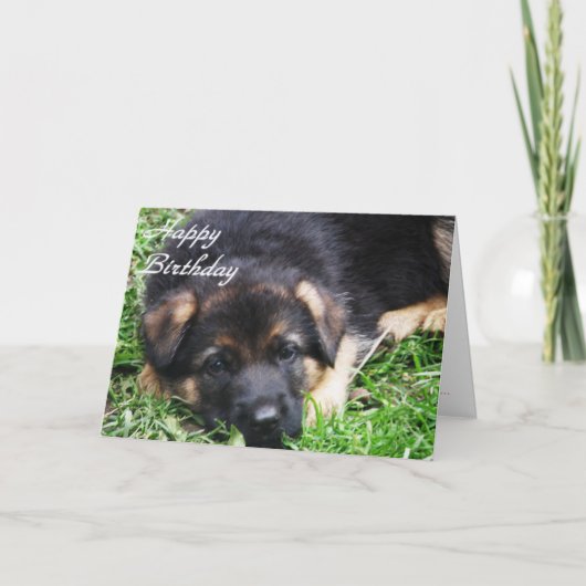 Het Puppy van de Duitse herder - de kaart van de (Voorkant)