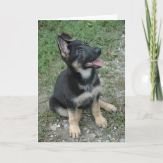 Het Puppy van de Hond van de Duitse herder Kaart