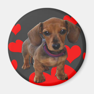 Het Puppy van de TEKKEL met Harten Magneet