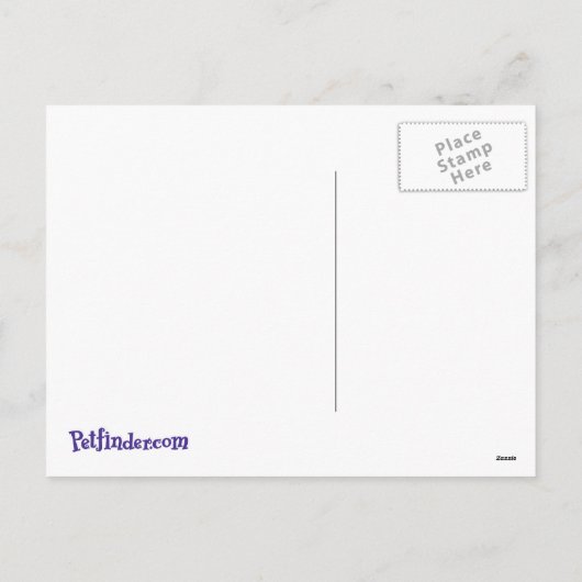 Het Puppy van de vakantie met het Briefkaart van (Achterkant)