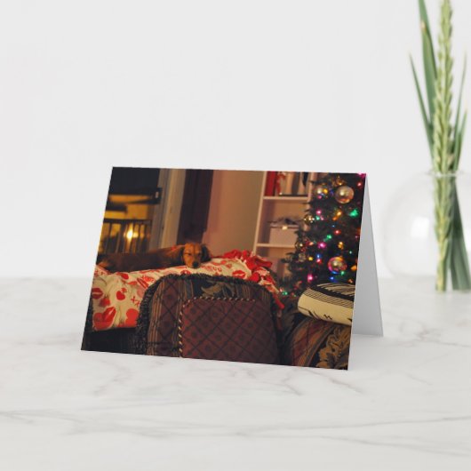 Het Puppy van de Vakantie van de slaap Feestdagen Kaart (Voorkant)