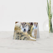 Het puppy van de whippet notecard kaart (Voorkant)