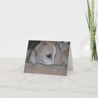 Het puppy van de whippet notecard kaart