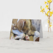 Het puppy van de whippet notecard kaart (Gele Bloem)