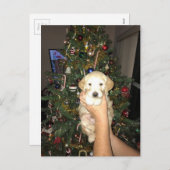 Het Puppy van GoldenDoodle met Kerstboom Feestdagenkaart (Voorkant / Achterkant)