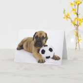 Het Puppy van great dane met Voetbal Kaart (Gele Bloem)
