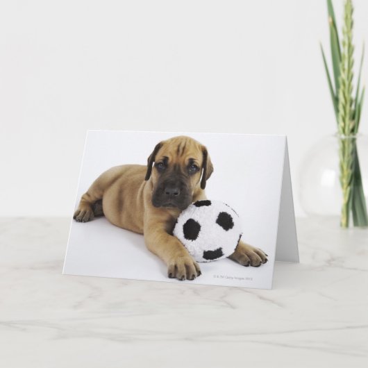 Het Puppy van great dane met Voetbal Kaart (Voorkant)