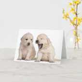 Het "puppy" van het golden retriever (4 weken oud) kaart (Gele Bloem)