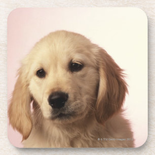 Het Puppy van het golden retriever Drankjes Onderzetter