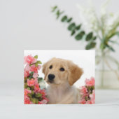 Het Puppy van het golden retriever en Roze Bloemen Briefkaart (Staand voorkant)