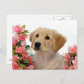 Het Puppy van het golden retriever en Roze Bloemen Briefkaart (Voorkant / Achterkant)