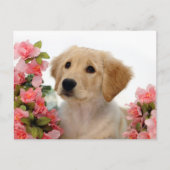 Het Puppy van het golden retriever en Roze Bloemen Briefkaart (Voorkant)