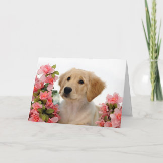 Het Puppy van het golden retriever en Roze Bloemen Kaart