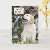 Het puppy van het golden retriever met kaart (Gele Bloem)