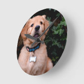 Het Puppy van het golden retriever Ronde Klok (Hoek)